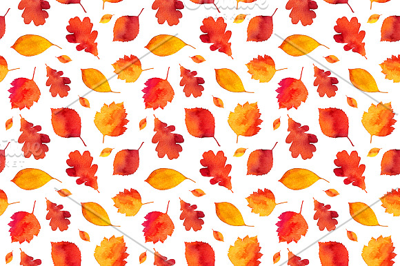 15 Watercolor autumn elements in Patterns - product preview 4