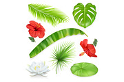 Exotic leaves, tropical flowers icon
