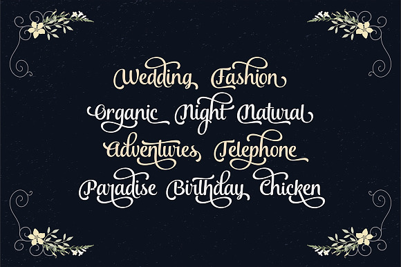 Font Collection | 29 Fonts in Cursive Fonts - product preview 11