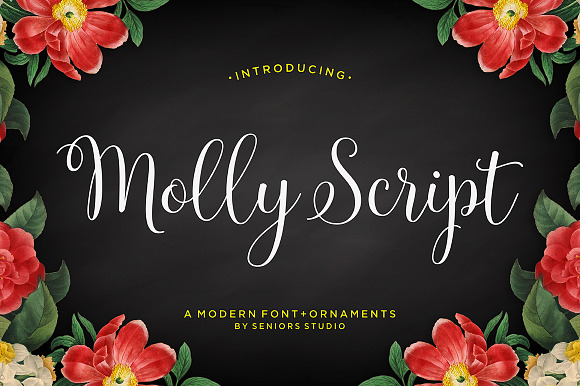 Font Collection | 29 Fonts in Cursive Fonts - product preview 14