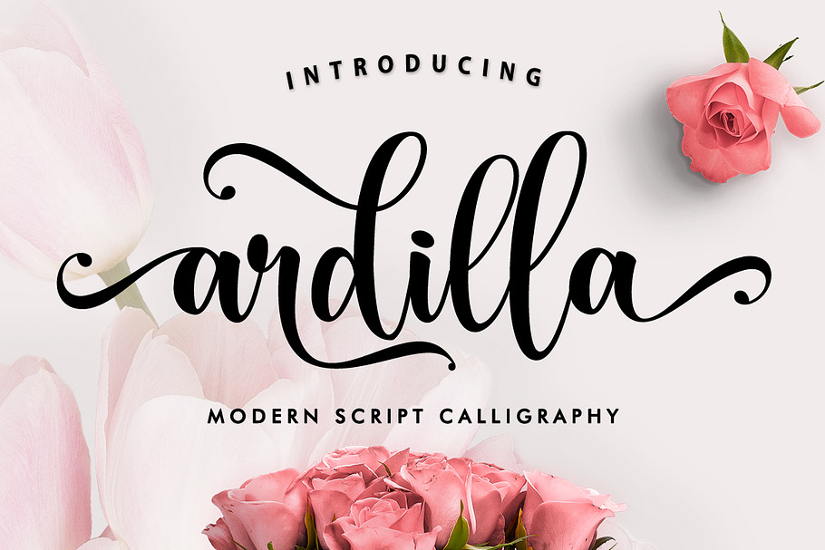 Ardilla in Script Fonts - product preview 8