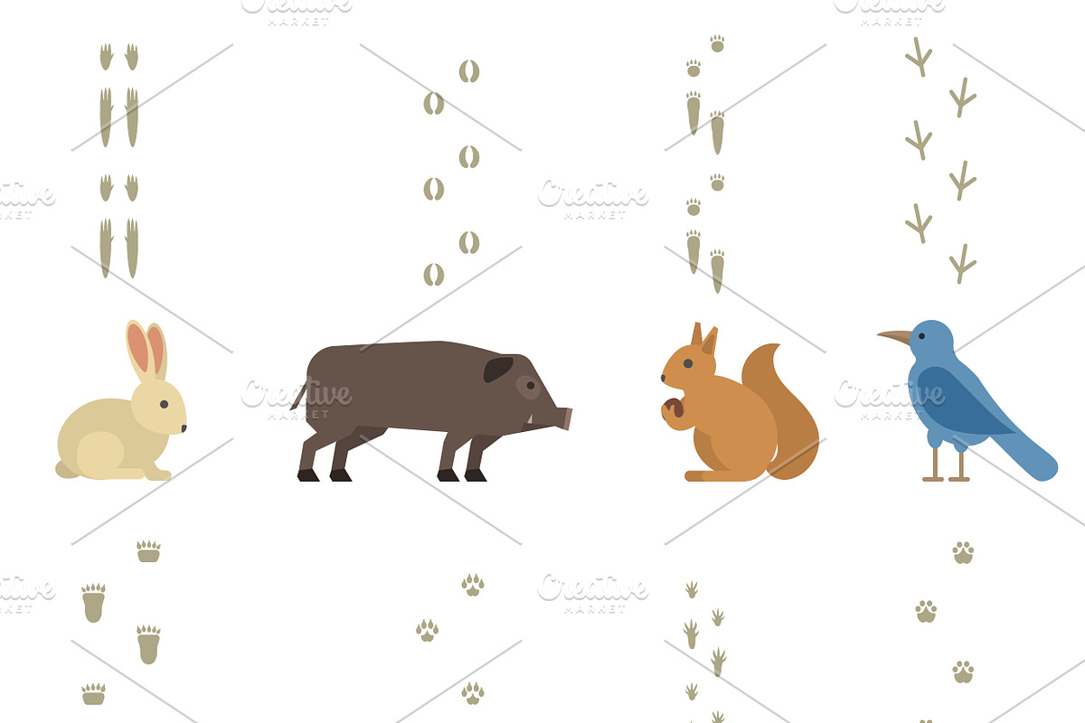 Animal footprints vector in Illustrations - product preview 8