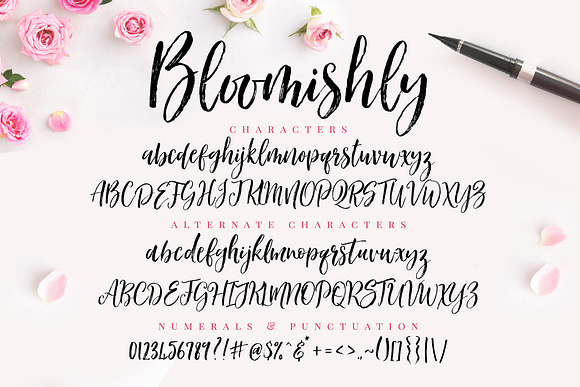Bloomishly Brush Font in Brush Fonts - product preview 7