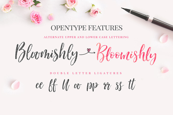 Bloomishly Brush Font in Brush Fonts - product preview 8