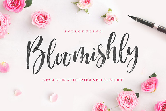 Bloomishly Brush Font in Brush Fonts - product preview 10