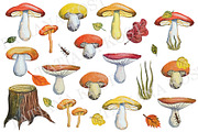 Watercolor autumn mushrooms,leaves
