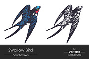 Swallow bird - vector hand drawn