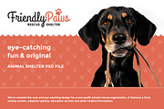 Friendly Paws - Shelter PSD template