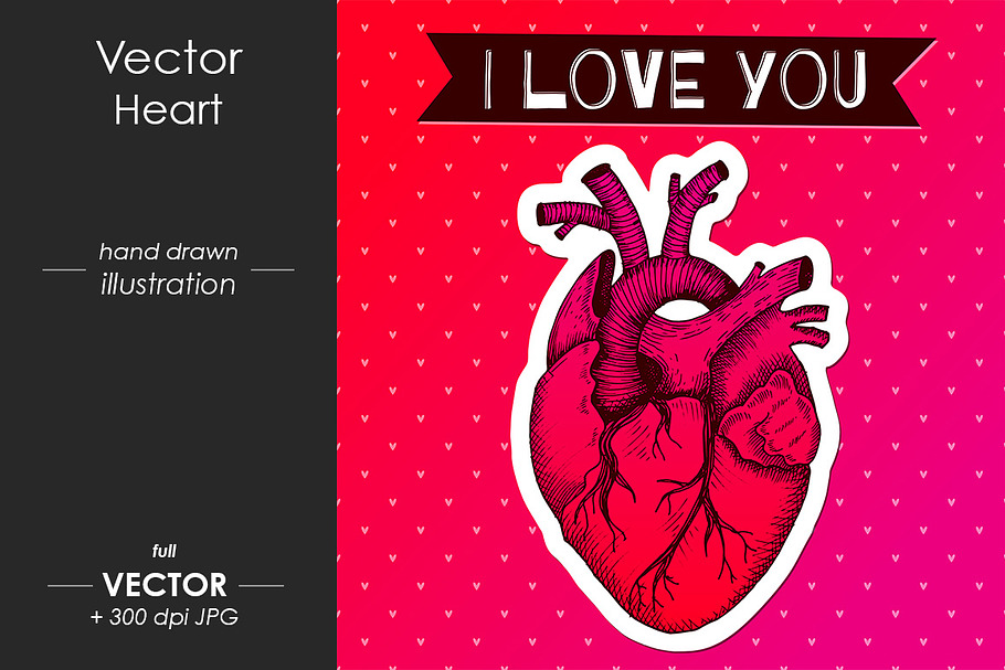 I love you, anatomical vector heart