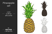 Vector Pineapple, Ananas