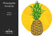 Vector juicy Pineapple, Ananas