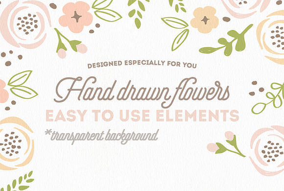 Hand Drawn DIY bouquets Vol. I in Illustrations - product preview 1