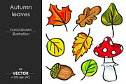 Autumn leaves vector set