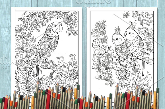 Coloring book /birds in Illustrations - product preview 1