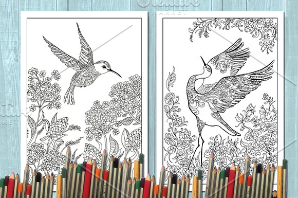 Coloring book /birds in Illustrations - product preview 2