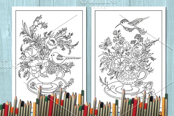 Coloring book /birds in Illustrations - product preview 3