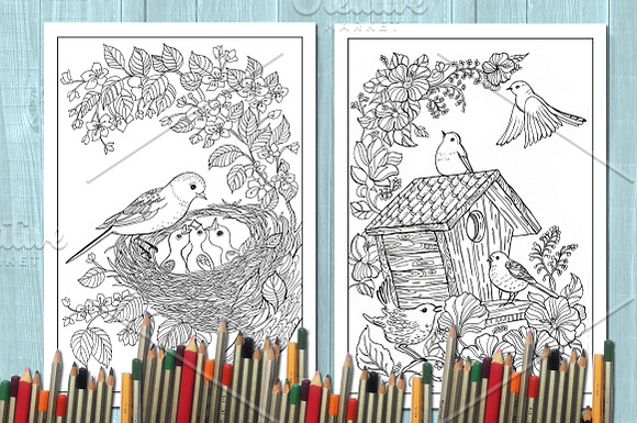 Coloring book /birds in Illustrations - product preview 4