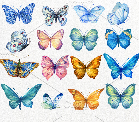 Butterfly collection watercolor in Illustrations - product preview 2