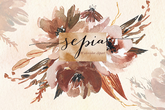 Sepia flowers. Watercolor clipart in Illustrations - product preview 1