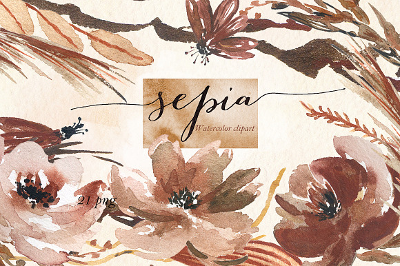 Sepia flowers. Watercolor clipart in Illustrations - product preview 2