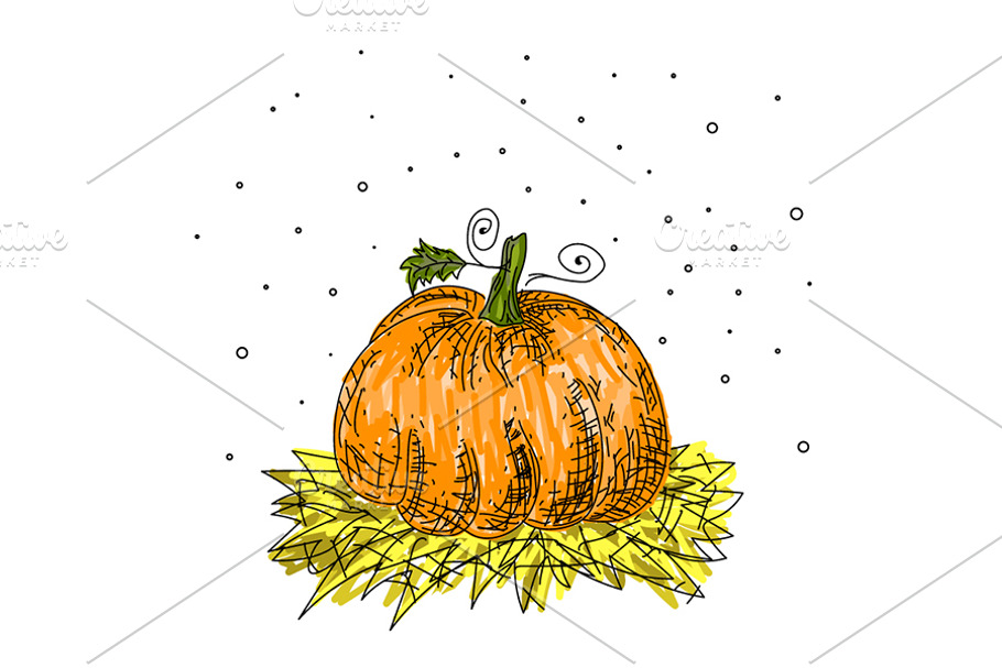 Pumkin for thanksgiving in Illustrations - product preview 8