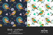 Birds - seamless patterns set