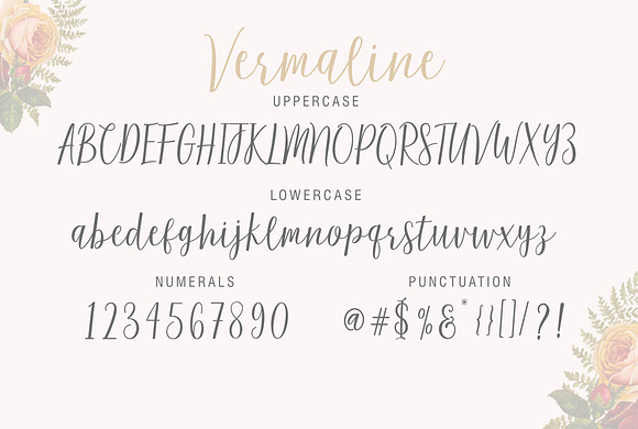 Vermaline  in Script Fonts - product preview 4