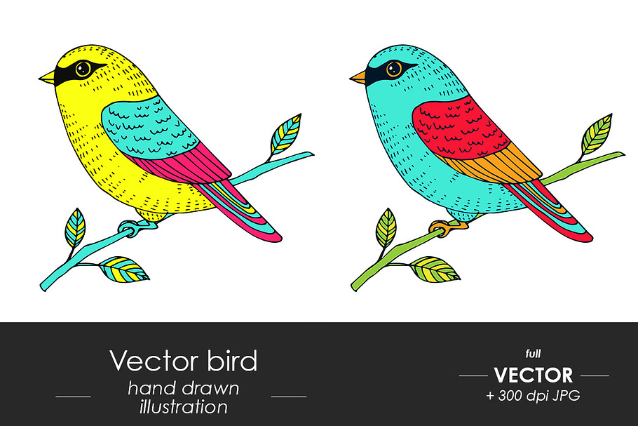Birds - hand drawn illustration in Illustrations - product preview 8