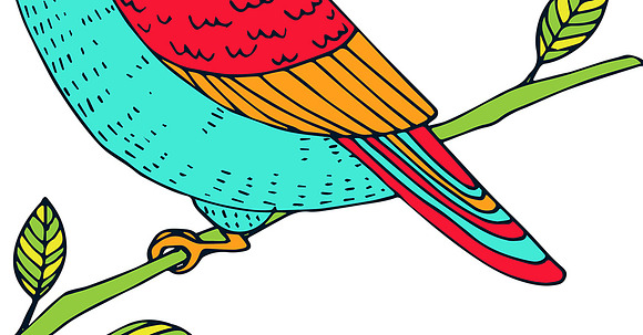 Birds - hand drawn illustration in Illustrations - product preview 2