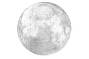 Silver Moon Vector