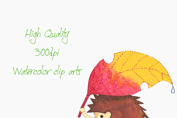 Cute Watercolor Hedgehog Clip art