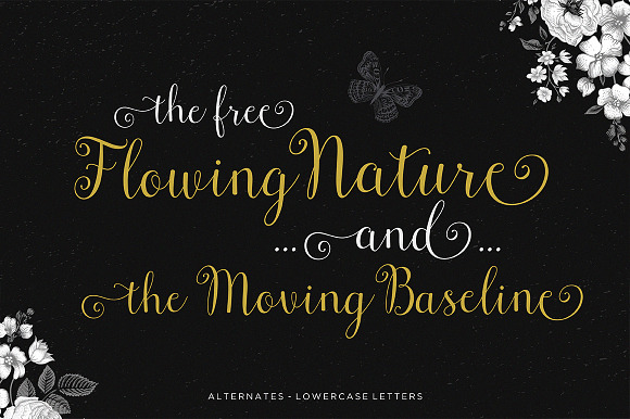 Font Collection | 29 Fonts in Cursive Fonts - product preview 45