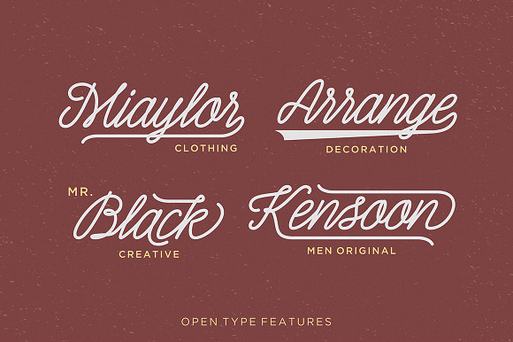 Font Collection | 29 Fonts in Cursive Fonts - product preview 48