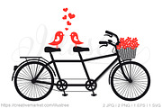 Tandem bicycle with love birds
