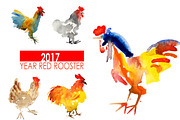 Watercolor Roosters