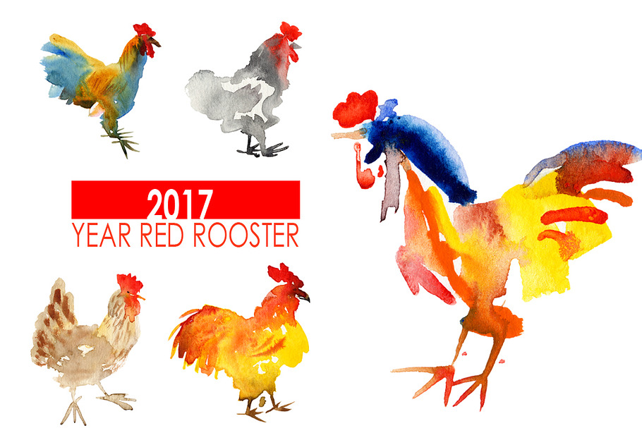 Watercolor Roosters in Illustrations - product preview 8