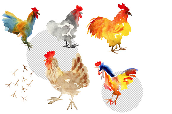 Watercolor Roosters in Illustrations - product preview 1
