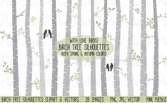 Birch Tree Clipart and Vectors in Illustrations - product preview 1
