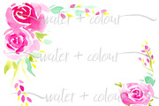 pink watercolor roses border