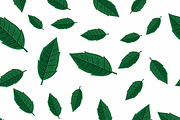 Green Leaves Seamless Patternv