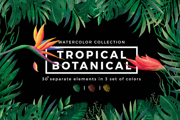 Tropical - Watercolor collection