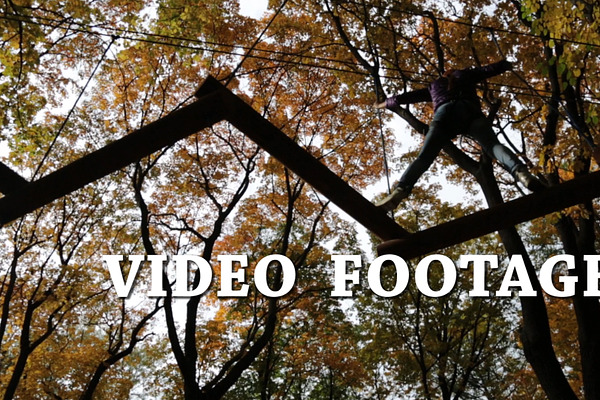 Obstacle course in the woods- video