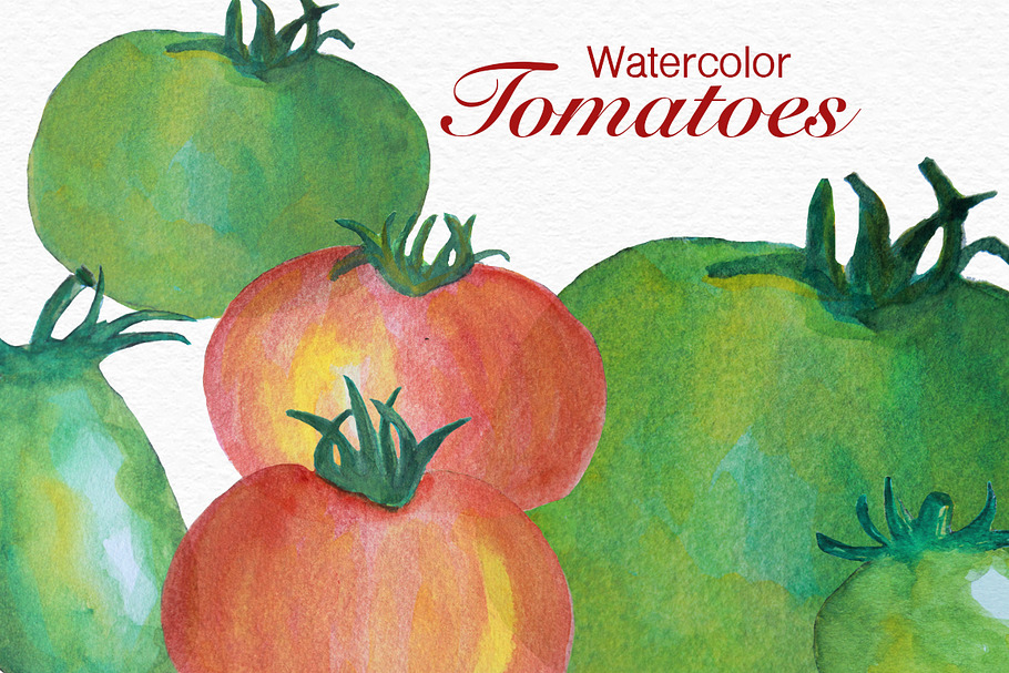 Tomatoes Watercolor 