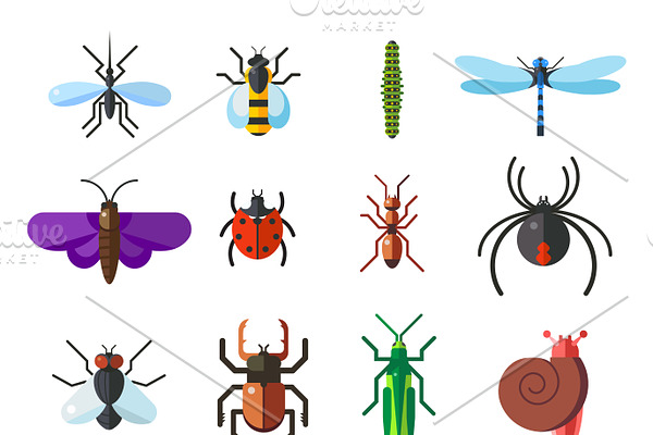 Insect icon flat set vector