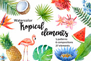 Watercolor tropical elements.