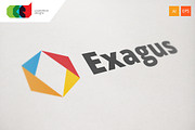 Exagus - Logo Template