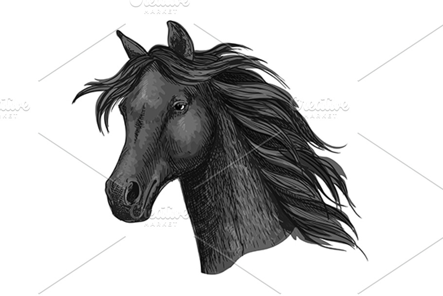 Black horse head in Graphics - product preview 8