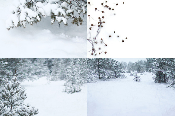 Winter Photo Backgrounds -Photo Pack in Mockup Templates - product preview 1