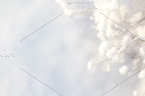 Winter Photo Backgrounds -Photo Pack in Mockup Templates - product preview 4