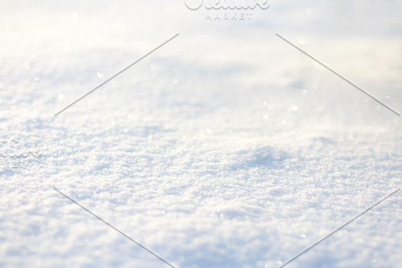 Winter Photo Backgrounds -Photo Pack in Mockup Templates - product preview 5